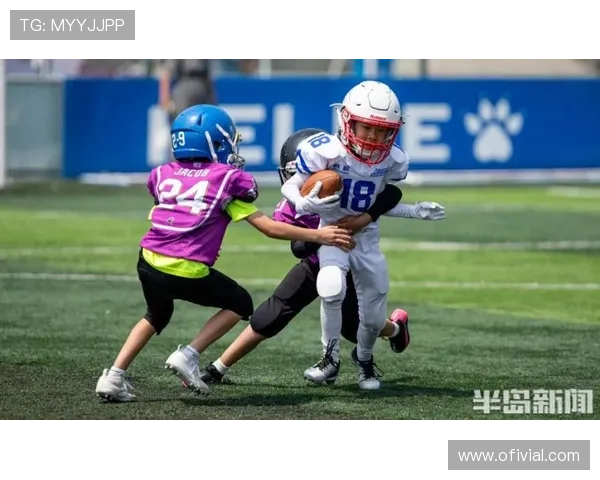 全面解析半岛app综合体育下载的详细步骤与注意事项